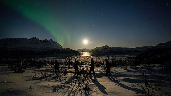 snowshoe hike northern lights