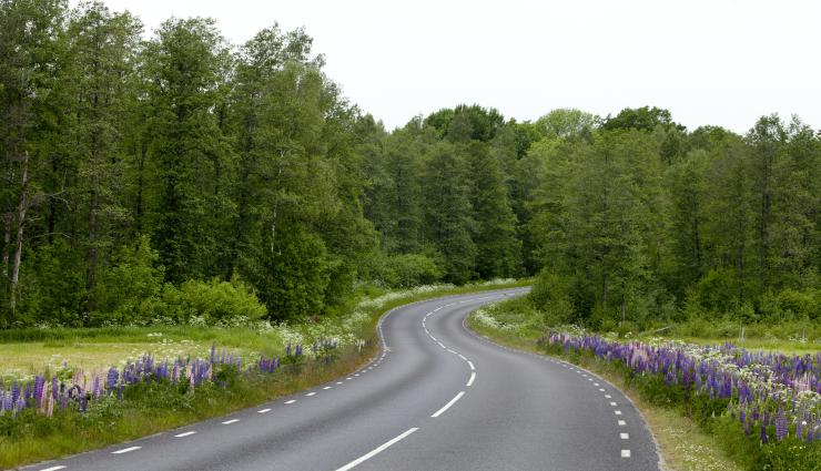 Autorundreisen Schweden 