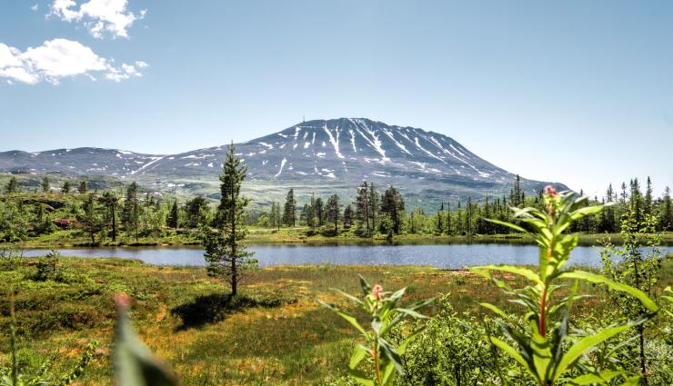 Norwegen Autorundreisen Gaustatoppen