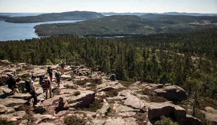 Autorundreisen Schweden Höga Küsten