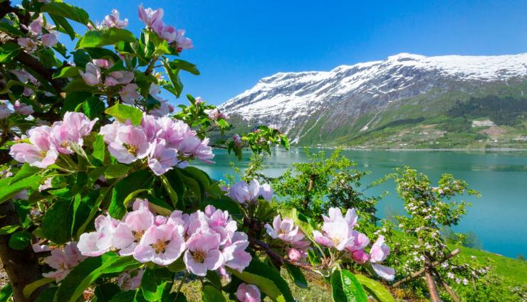 Autorundreisen Norwegen Lofthus Ullensvang