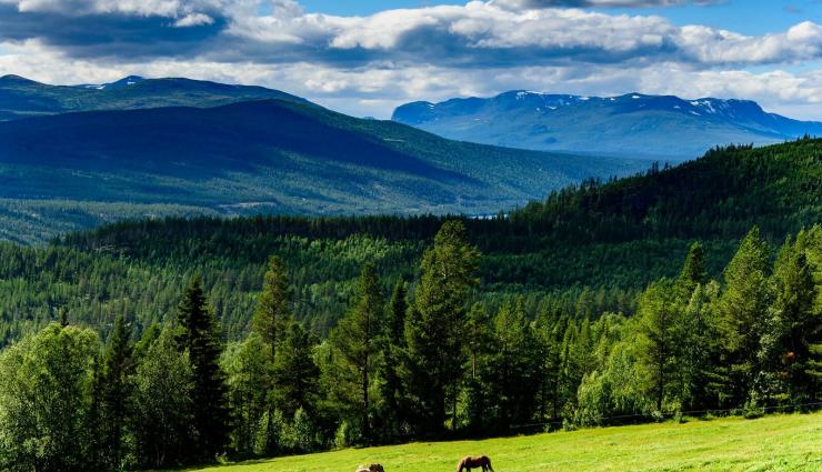 Autorundreisen Norwegen Gudbrandstal