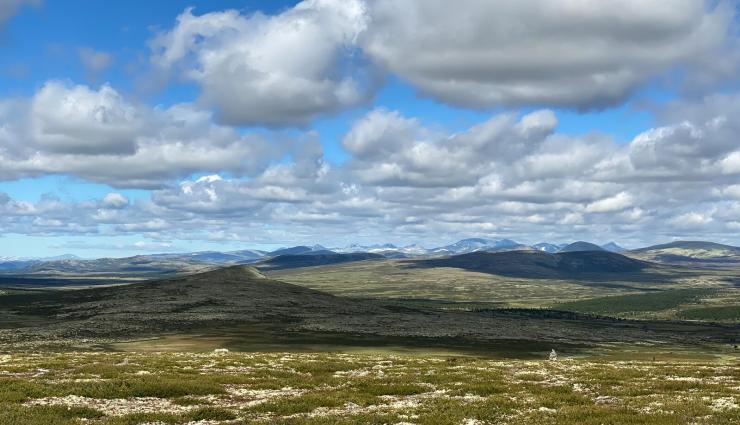 Autorundreisen Norwegen Rondane