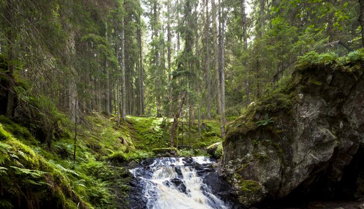 Autorundreisen Schweden