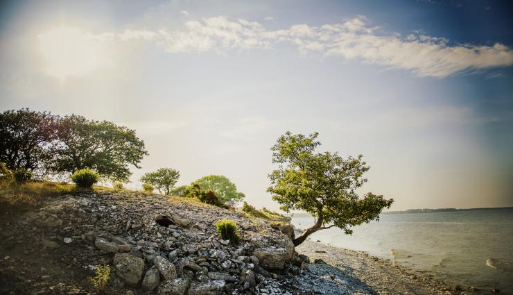 Autorundreisen Schweden Fårö