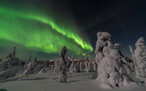 Nordlichter und Wale in Nordnorwegen